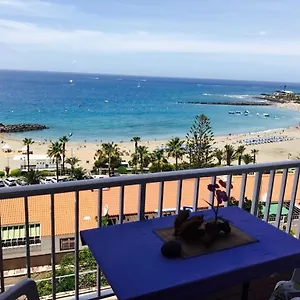 https://sunnyseaside-las-vistas.in-canary-islands.com